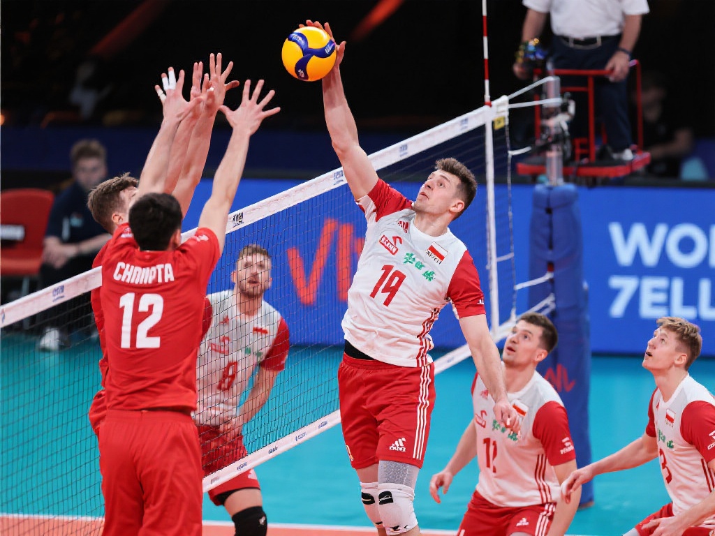 行为的有力 行为的有力